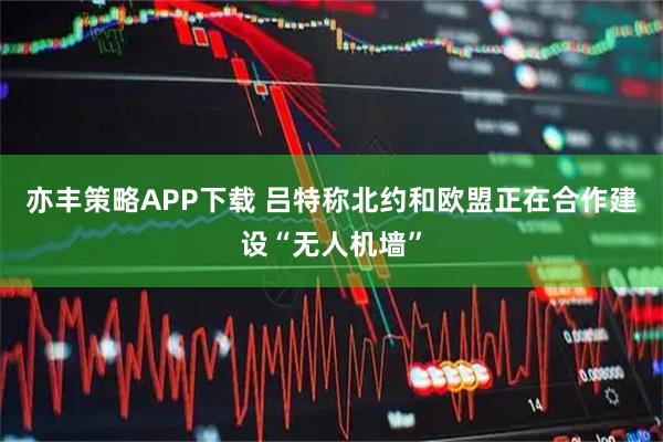 亦丰策略APP下载 吕特称北约和欧盟正在合作建设“无人机墙”